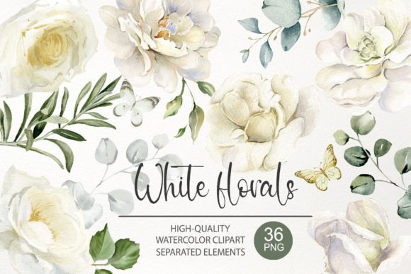 Watercolor White Rose Flower Clipart PNG: Elevate Your Designs